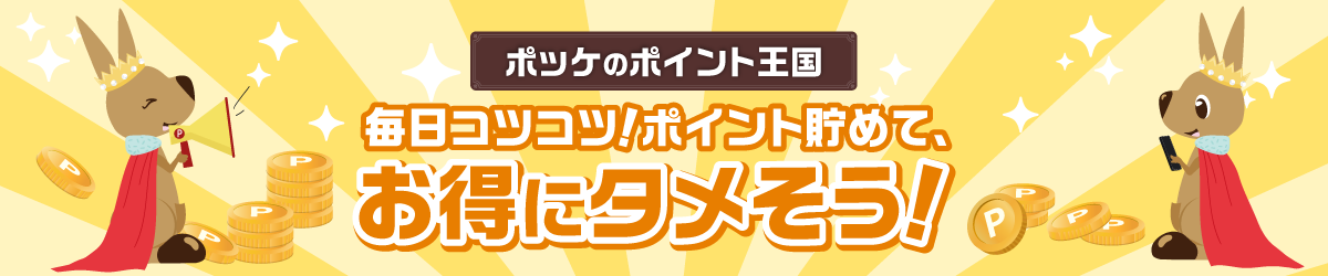 ポッケのポイント王国